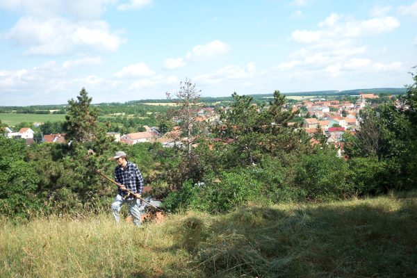 Kosení na Větrňáku 2014