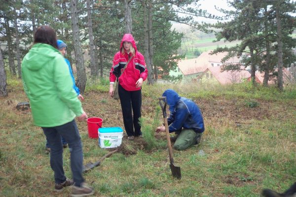 Podzimní sázení 2013