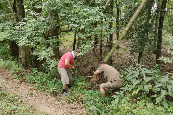 Obnova studánky za koupalištěm 2019