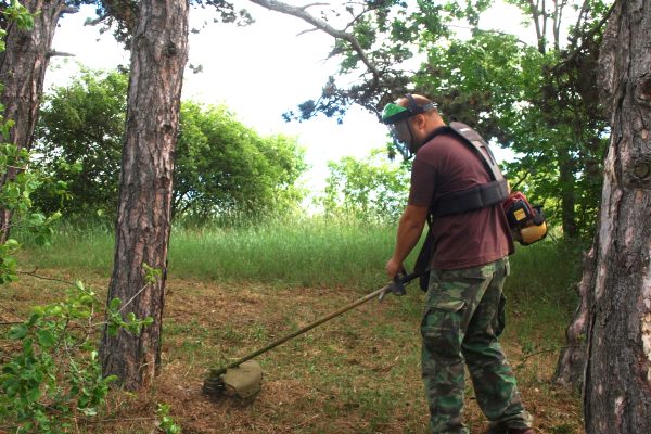 Kosení na Větrňáku 2020