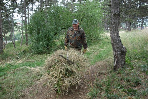 Kosení na Větrňáku 2015