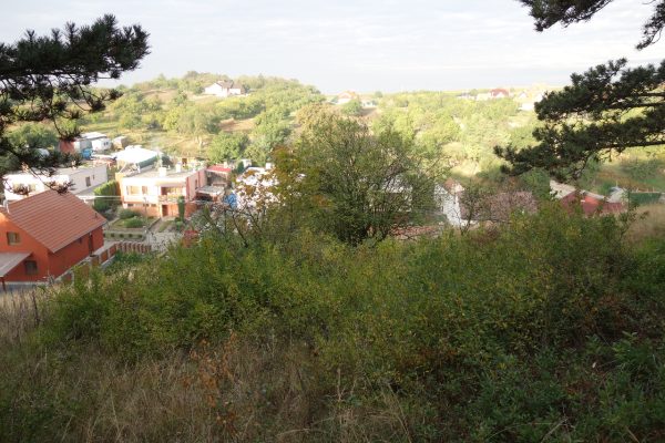 Kosení Větrňáku 2016